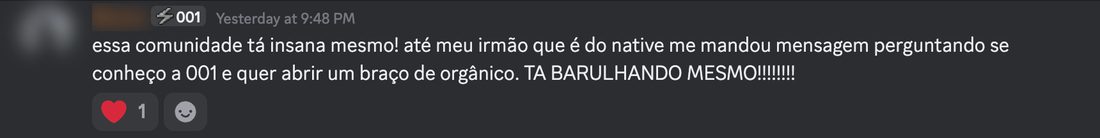 Mensagem real de membro no Discord da 001